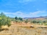 AWVADP970_36866_V0_55FB.jpg
