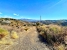 AWVADP982_37330_V0_077F.jpg