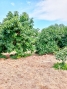 AWVADP984_37347_V0_3008.jpg