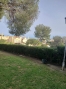 5-3595ad71cbd87be6c3643a4285ef4791.jpg