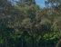 29-7c2f312881aea9bbe9ddaeb9640e2c9a.jpg